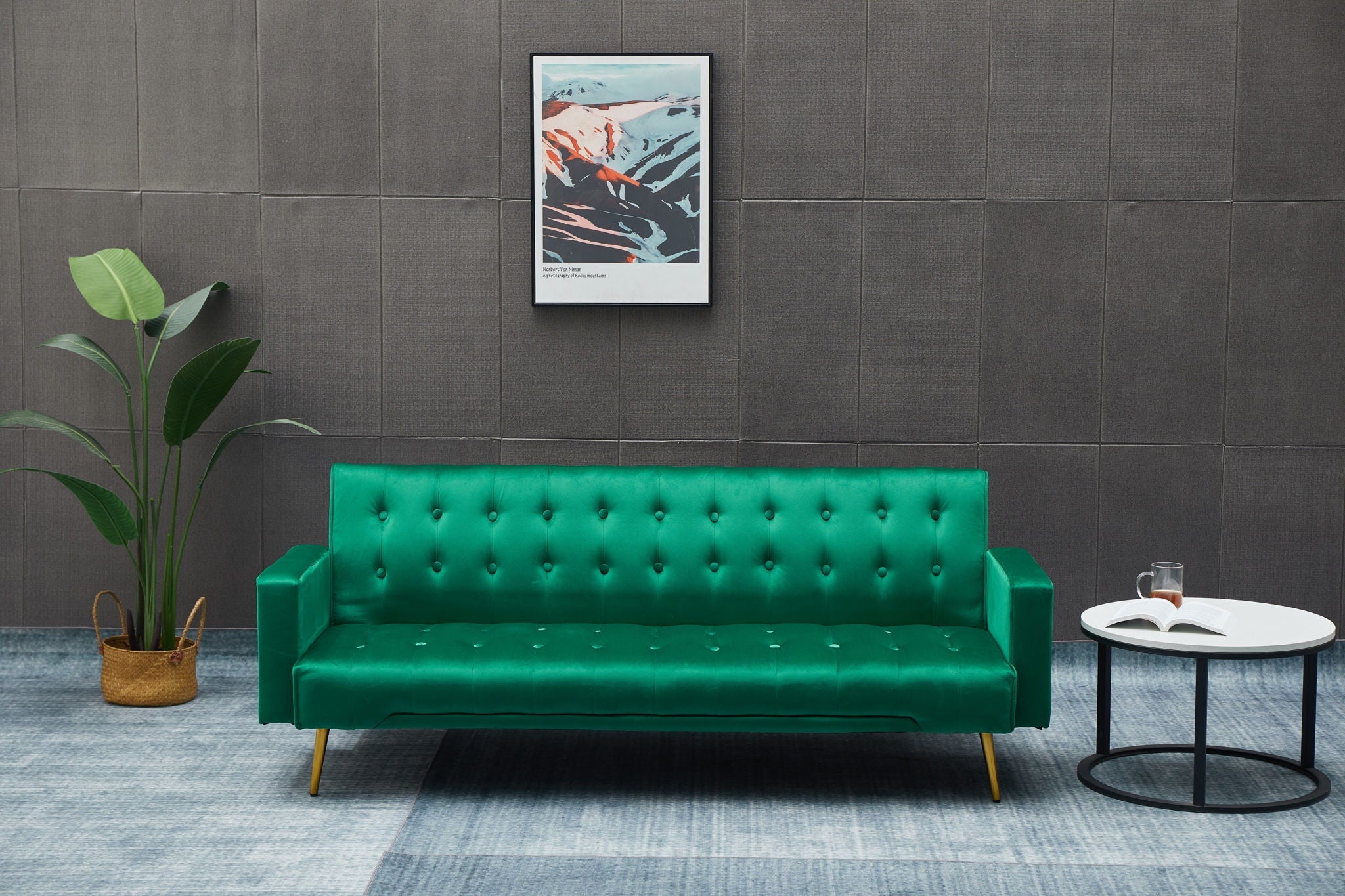 Comfort Compact Design Sofa Bed